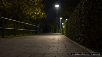 KI-generiertes Symbolfoto zu Polizeieinsatz bei Lauingen