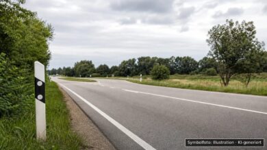 KI-generiertes Symbolfoto zu Verkehrsunfall bei B31, Lindau