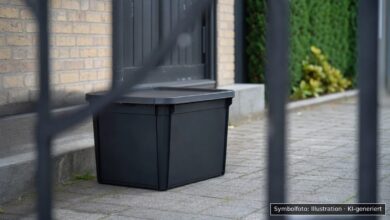 KI-generiertes Symbolfoto zu Diebstahl bei Meitingen-Erlingen