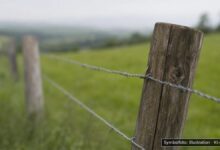 KI-generiertes Symbolfoto zu Sachbeschädigung bei Oberstaufen