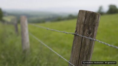 KI-generiertes Symbolfoto zu Sachbeschädigung bei Oberstaufen