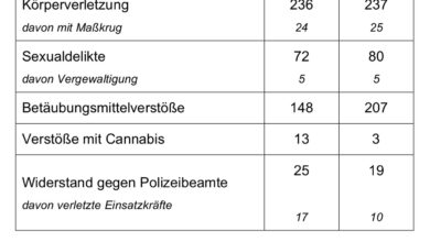 Beitragsbild zu Oktoberfest 2026: Münchner Polizei zieht Bilanz zum 191. Oktoberfest