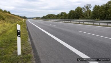KI-generiertes Symbolfoto zu Verkehrsunfall mit Tier bei A96 bei Mindelheim