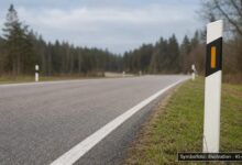 KI-generiertes Symbolfoto zu Wildunfall bei Schwendi, Gutenzeller Straße