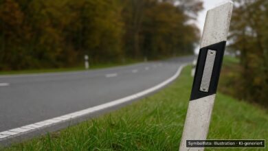 Neutrale Landstraße in einer Kurve mit Leitpfosten – KI-Symbolbild, kein tatsächlicher Unfallort