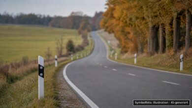 KI-generiertes Symbolfoto zu Verkehrsunfallflucht bei B308 bei Alpsee, Immenstadt