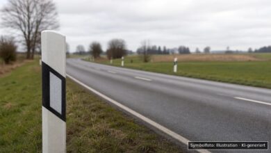 KI-generiertes Symbolfoto zu Verkehrskontrolle bei Uttenweiler