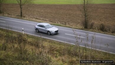 KI-generiertes Symbolfoto zu Wildunfall bei B312 zwischen Daugendorf und Riedlingen