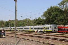 Agilis Neuoffingen Zug 19062022 5