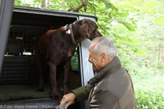 ASP-Hunde Prüfung Ichenhausen 052022 1