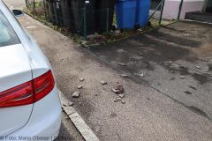 Sturmschaden Ichenhausen 09042022 3