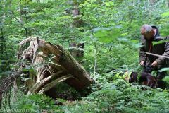 ASP-Hunde Prüfung Ichenhausen 052022 11