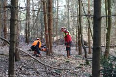 Kettensägen-Lehrgang Feuerwehr Günzburg am 19.02.2022 2