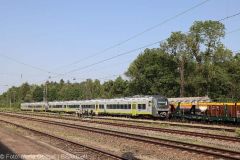 Agilis Neuoffingen Zug 19062022 13
