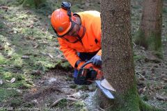 Kettensägen-Lehrgang Feuerwehr Günzburg am 19.02.2022 21