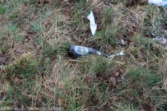 Unfall Ettenbeuren Ichenhausen 30032022 15