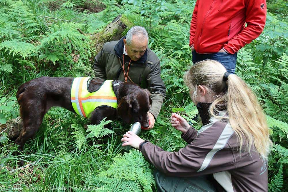 ASP-Hunde Prüfung Ichenhausen 052022
