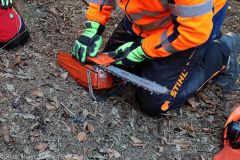 Kettensägen-Lehrgang Feuerwehr Günzburg am 19.02.2022 1