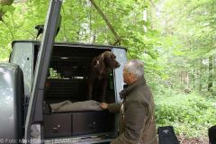 ASP-Hunde Pruefung Ichenhausen 052022 2