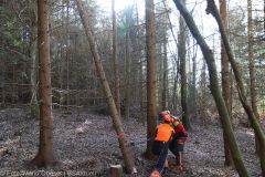 Kettensägen-Lehrgang Feuerwehr Günzburg am 19.02.2022 10