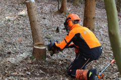 Kettensägen-Lehrgang Feuerwehr Günzburg am 19.02.2022 5
