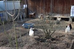 Fredlhof Tag offenen Tuere 05032022 25