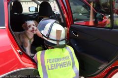 Unfall A8 bei Leipheim 17062022 05