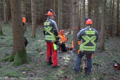 Kettensägen-Lehrgang Feuerwehr Günzburg am 19.02.2022 25