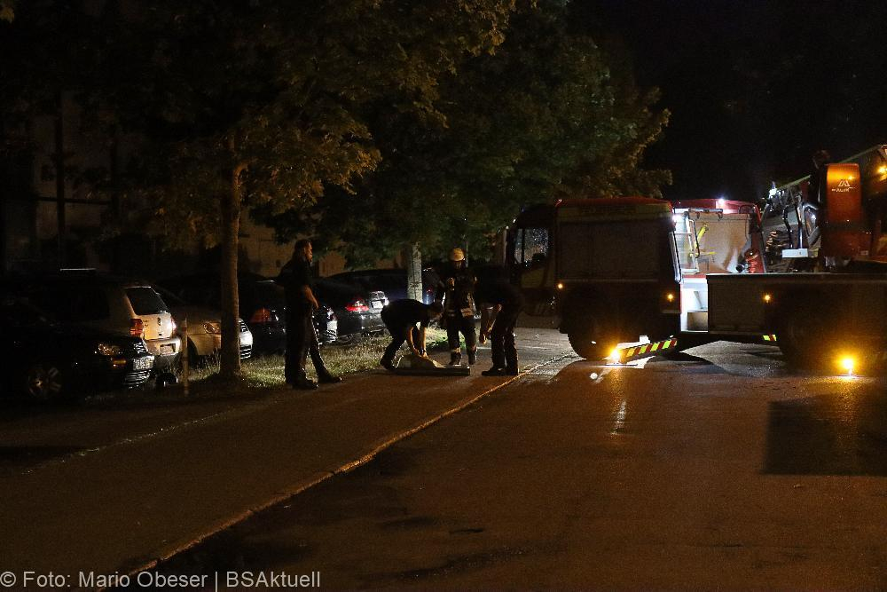 Neu-Ulm Baum Blitzschlag gegen Gebaaude 21072022