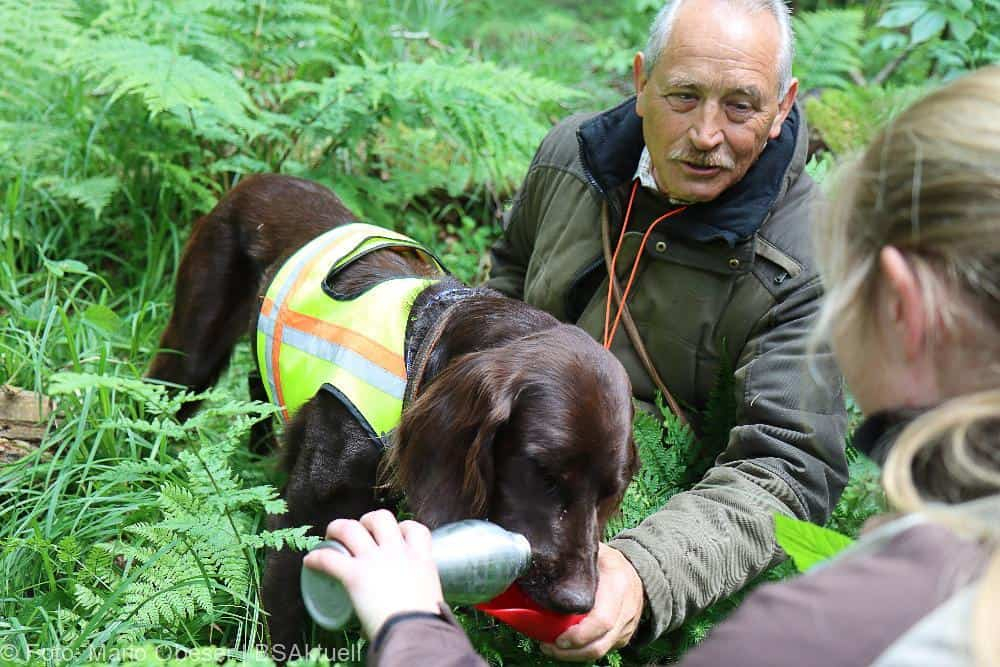 ASP-Hunde Prüfung Ichenhausen 052022