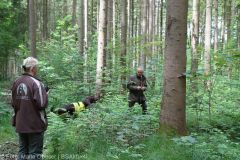 ASP-Hunde Pruefung Ichenhausen 052022 15