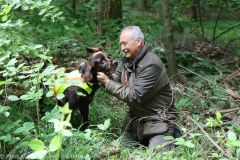 ASP-Hunde Pruefung Ichenhausen 052022 27