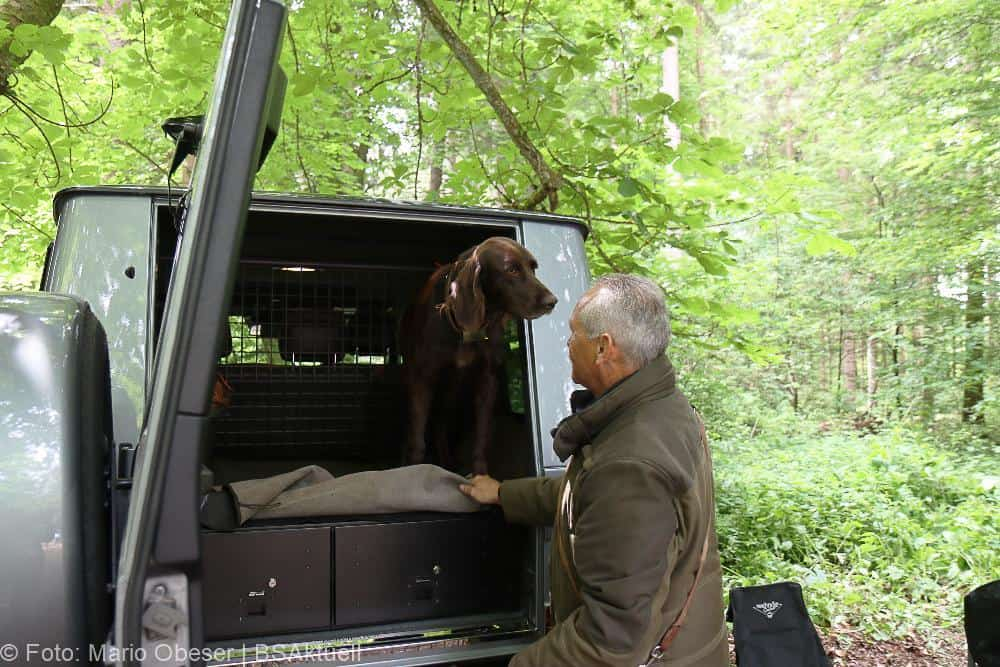 ASP-Hunde Prüfung Ichenhausen 052022