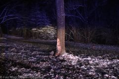 Unfall B16 Heubelsburg Ichenhausen 02042022 6
