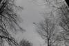 Brand Waldreichenbach 30042021 28