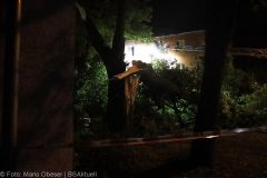 Neu-Ulm Baum Blitzschlag gegen Gebaaude 21072022 12