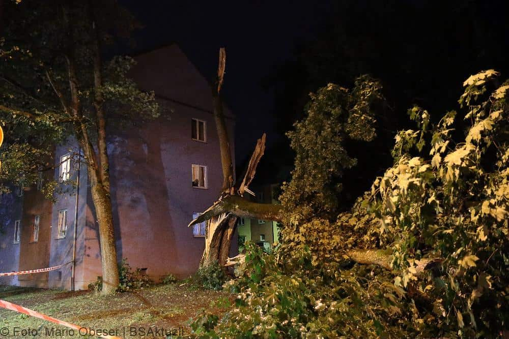 Neu-Ulm Baum Blitzschlag gegen Gebaaude 21072022