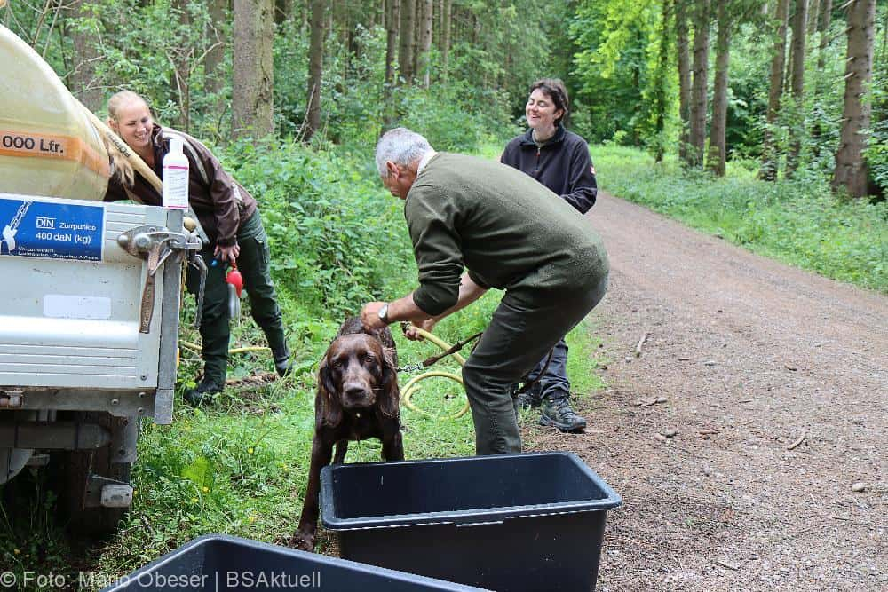 ASP-Hunde Prüfung Ichenhausen 052022
