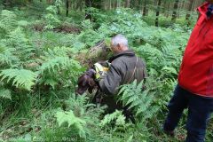 ASP-Hunde Pruefung Ichenhausen 052022 21