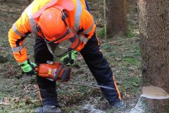 Kettensägen-Lehrgang Feuerwehr Günzburg am 19.02.2022 29