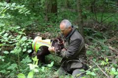 ASP-Hunde Pruefung Ichenhausen 052022 26