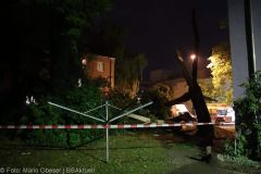 Neu-Ulm Baum Blitzschlag gegen Gebaaude 21072022 16