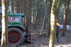 Kettensägen-Lehrgang Feuerwehr Günzburg am 19.02.2022 13