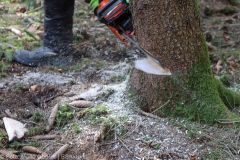 Kettensägen-Lehrgang Feuerwehr Günzburg am 19.02.2022 27