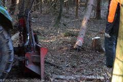 Kettensägen-Lehrgang Feuerwehr Günzburg am 19.02.2022 12