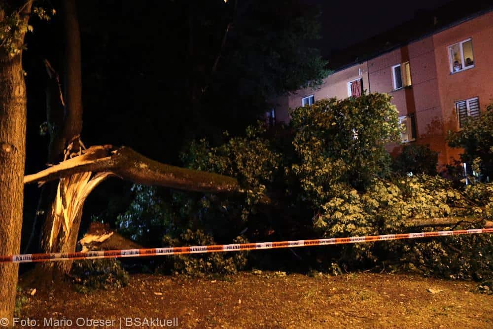 Neu-Ulm Baum Blitzschlag gegen Gebaaude 21072022
